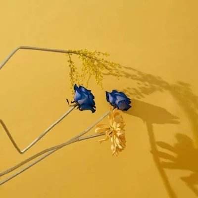 722cc大发彩神下载手机版